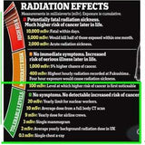 PERSONAL RADIATION DETECTOR