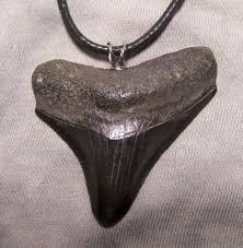 Megalodon Shark Tooth Fossil Replica  Necklace