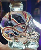 Glass Snake Skull